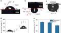 Contact angle measurement of free-standing square-millimeter single-layer graphene