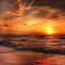 Ann Marie McCarthy Obituary May 1, 2026
