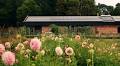5 Upgrades That Will Make Your Home More Sustainable + Save You Money