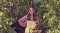 Backyard harvest with an Asian twist