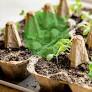 Garden gold: how to give common household waste new life as back yard essentials