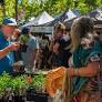 Kalamunda Garden Festival on again