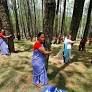 From the Himalayas to Newt Gingrich, the 'tree-huggers' prevail