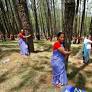 From the Himalayas to Newt Gingrich, the 'tree-huggers' prevail