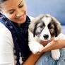 Most Popular Boy Dog Names