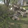 Spring Hill reverses decision, will help residents with storm debris removal