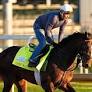 Kentucky Derby Expert Picks Today: Predictions for the 2026 Kentucky Derby