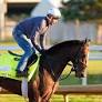 2026 Belmont Stakes Expert Picks and Predictions