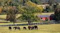 Calvin Klein Co-Founder’s Westchester Equestrian Estate Asks $100 Million