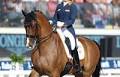 Dutch Young Rider Evi van Rooij Gets Ride on Anne Meulendijks' Avanti