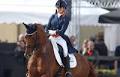 Anne Meulendijk's WCYH Ride Hot-Spot PB Sold to Germany