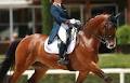 Anne Meulendijks Wins Individual Test Gold at 2014 European Young Riders Championships