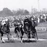 Majestic Prince: A Racehorse Who Lived Up to His Name