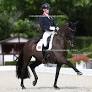 British and Polish Team Horses Million Dreams and Dark Knight Sold to Asia