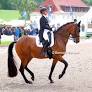 Quick Decision, Times Kismet, Mondrian in Quarantine and Withdrawn from 2026 German Championships