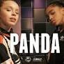 These Girls Slay Choreography To Desiigner’s “Panda”
