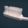 Why a toothbrush is dirtier than a toilet seat