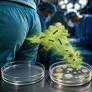 Can Farts Spread Bacteria? Scientists Actually Tested It