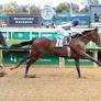 Churchill Downs Stakes Advances: Parchment Party Tops Field of Nine for Isaac Murphy Marathon; Ward Duo Tops Kentucky Juvenile Field of Eight