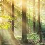 Christopher Albert Chiasson Obituary | 1968 - 2026