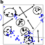 The influence of reproductive mode on resource competition and diversity patterns in Ediacaran early animal communities