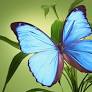 Paige Murphy Obituary - Visitation & Funeral Information