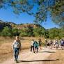 Environmentalists say bid to end roadless rule could spoil local forests