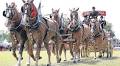 Royal highland show results