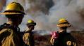 The L.A. fires are contained, but the harm to people’s brains may linger