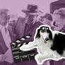 First Taylor Sheridan Invaded My Neighborhood. Now They Cast My Dog!