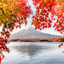 Heavy Rainfall Inflates Mount Fuji