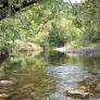 Pure luck no lives lost after speeding drunk driver crashes near Nelson swimming spot