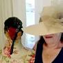 Robin’s Nest: A custom hat, a cup of vegan coffee