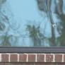 Elected leaders vow legal action after shots fired during after-prom party in Vrbo rental