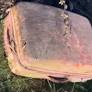 Walker and children find dog remains in suitcase in Barrow