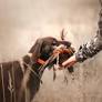 Hunting With Dogs: Training and Safety Tips
