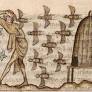 Why early medieval Ireland had laws for bees
