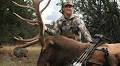 Nationally known hunter wins lottery drawing to archery hunt a Pennsylvania bull elk