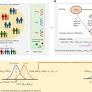 Estimation of direct and indirect polygenic effects and gene–environment interactions using polygenic scores in case–parent trio studies