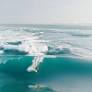Graves and Walsh discovered a tidal wave in Western Australia