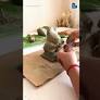 How to build an eco-friendly clay ganesha? #shorts #ganeshchaturthi #sustainability