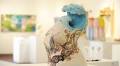 Zanesville Prize exhibition opens Friday
