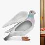 The new Gen Z hero? A pigeon — plus more trends to know now