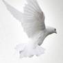 Mother Helen Helen Williams Obituary (1938 - 2026) - Columbia