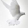 Mother Helen Williams Obituary | Myers Mortuary & Cremation Services | Columbia, SC