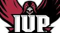 Beaver County locals land Indiana University of Pennsylvania's dean's list