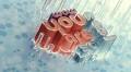 Adobe Dimension April Release: Elevate Your Creative Designs with 3D Text and Customizable Shapes