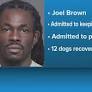 Columbus man sentenced to nearly 6 years in prison for dogfighting, drug distribution