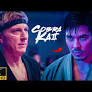 Johnny Lawrence Final Fight Scene | Cobra Kai Season 6 Saskpower (SjaZPMFwjx)