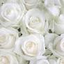 Nancy Ann Anderson Obituary June 8, 2026